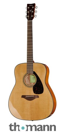 A selection of beginner acoustic guitars